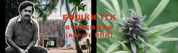 стаф Магадан