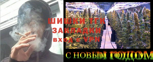 стаф Магадан