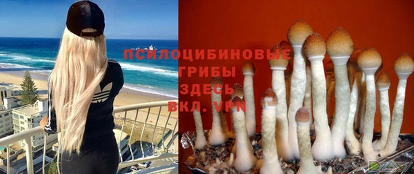 ешки Магас