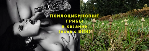стаф Магадан