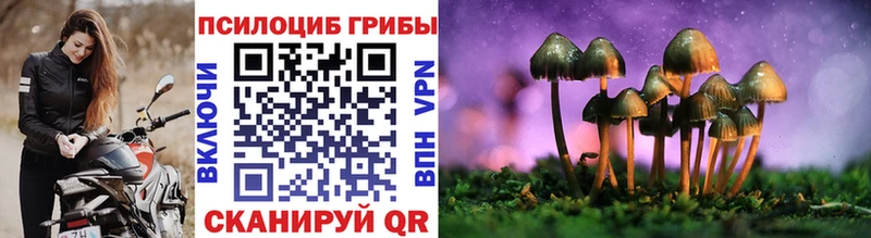 mega сайт  дарнет шоп  Куса  Галлюциногенные грибы GOLDEN TEACHER 
